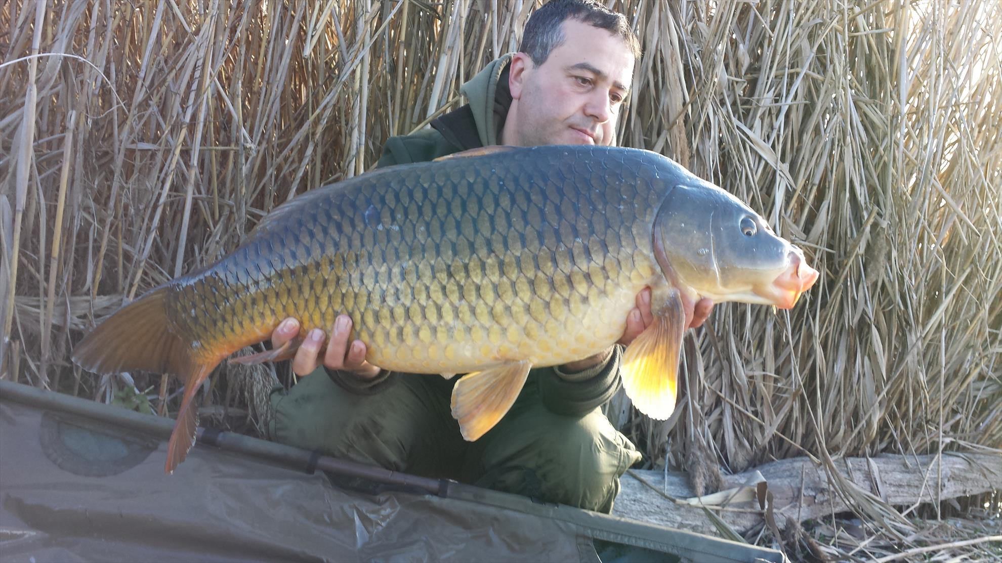 Tancabesti 14 - 16 mar. - 2014-03-16-0833491.jpg